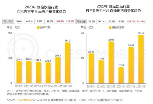 questmobile2023中国移动互联网半年大报告 大厂重回快速增长,11家去重用户破5亿,行业新动能显现,人群差异特性明显